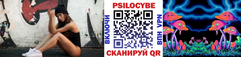 Галлюциногенные грибы Psilocybe Нахабино